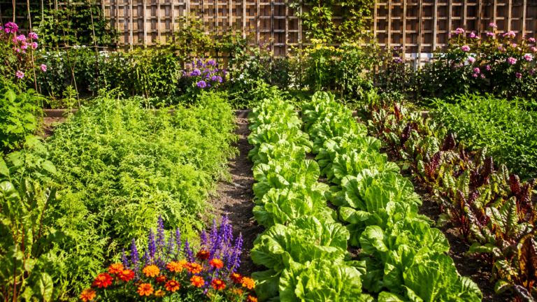 6 gute Gründe, Blumen mitten im Gemüsegarten zu pflanzen